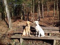 Elly und Lady auf der Bank weissenhof